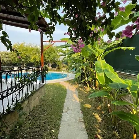 Villa Private On Center. *