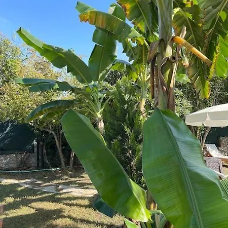 Private On Center. Fethiye